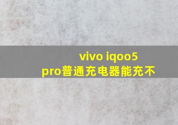 vivo iqoo5pro普通充电器能充不